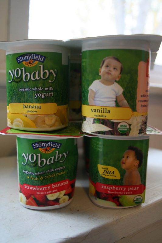 Healthy Choices Best Yogurt For Babies 6 Months Old Family Hype