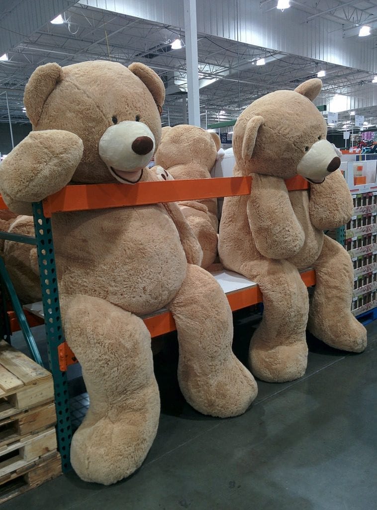 giant teddy bear cost