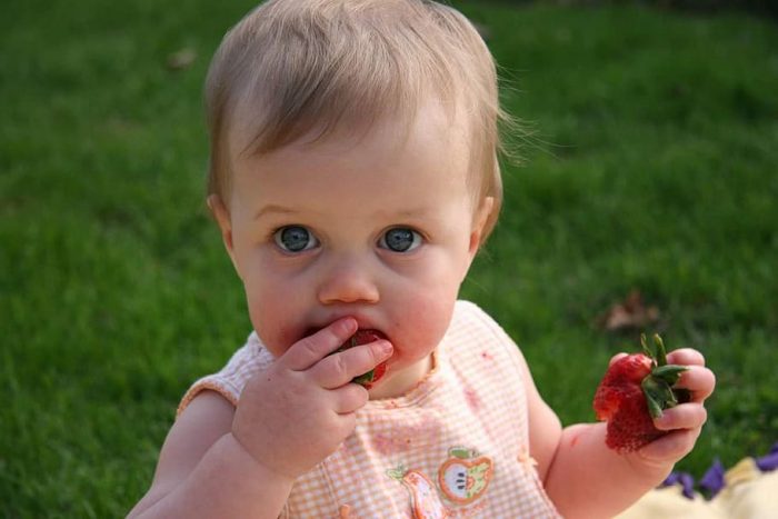 Natural foods are always best for your baby