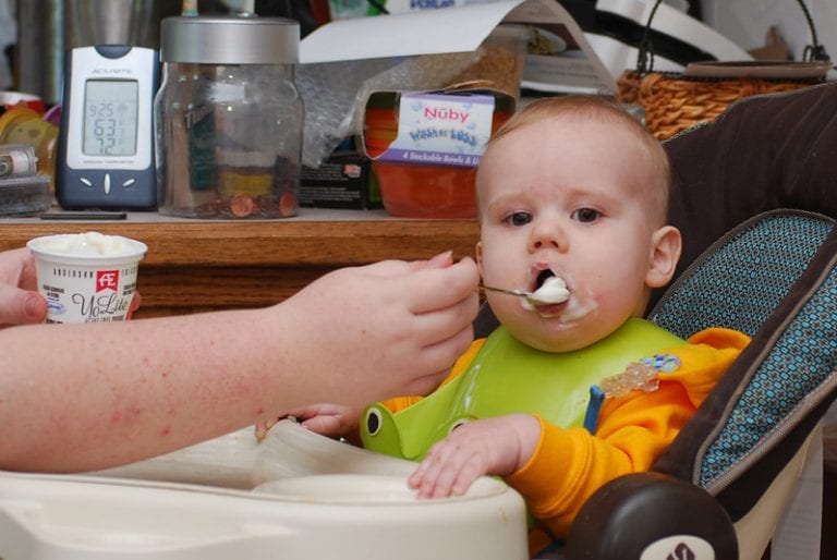 Greek Yogurt For Babies Family Hype